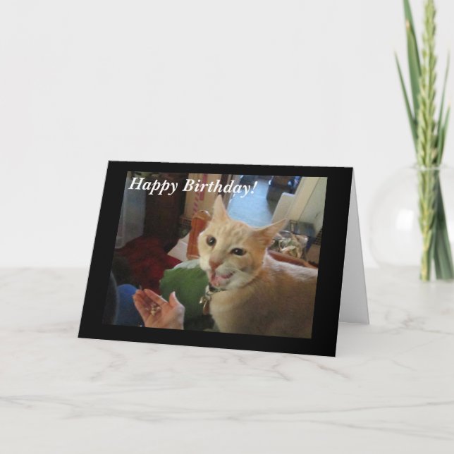 Cartão Romeo the Cat Happy Birthday Card (Frente)