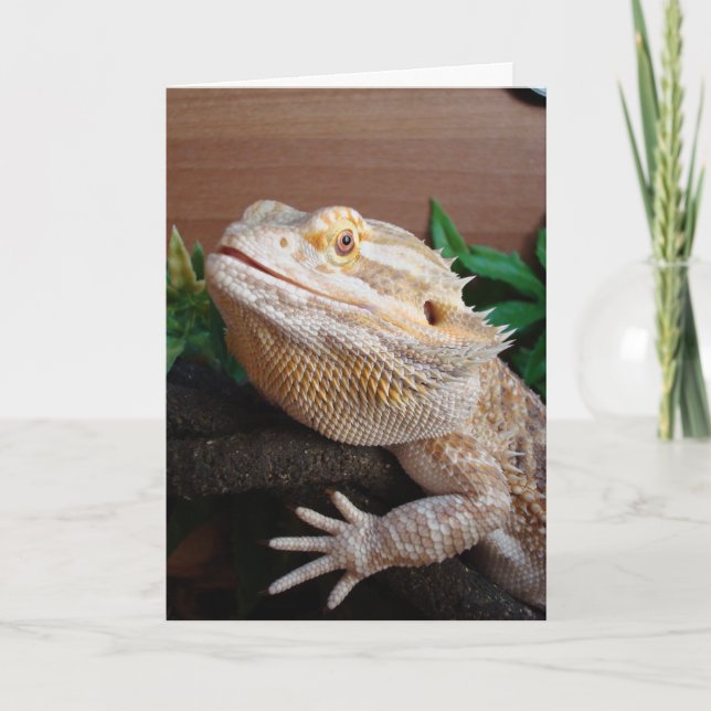 Cartão Ronnie (Frente)