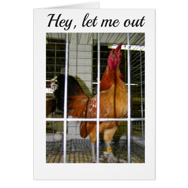 CARTÃO ROOSTER QUER DIZER SEUS DESEJOS DE ANIVERSÁRIO PAR (Frente)