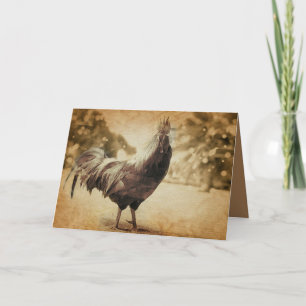 Cartão Rooster Vintage Foto