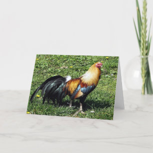 Cartão Rooster Watercolor Portrait Blank Greeting Card