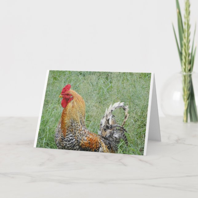 Cartão Roosters (Frente)