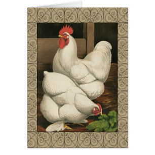 Cartão Roosters & Hen fora da Casa Hen com Fronteira Bran