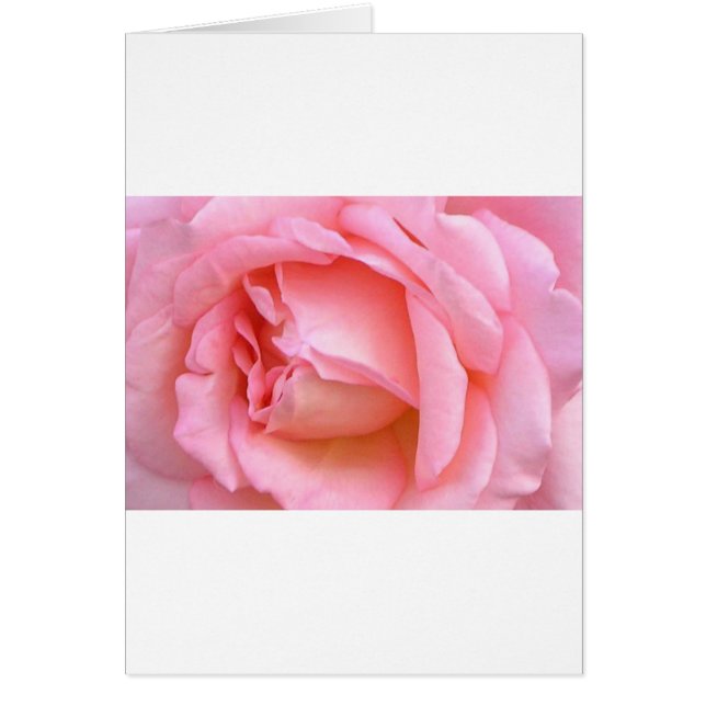 CARTÃO ROSA (Frente)