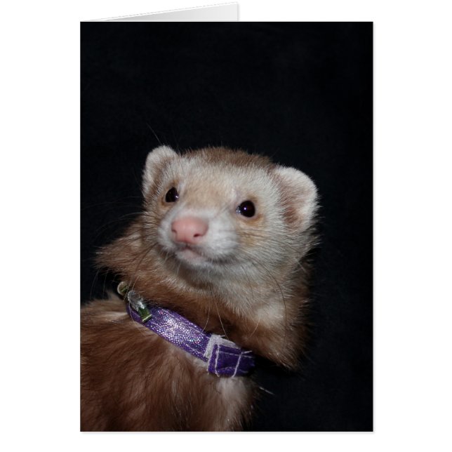 Cartão Rosa (Frente)