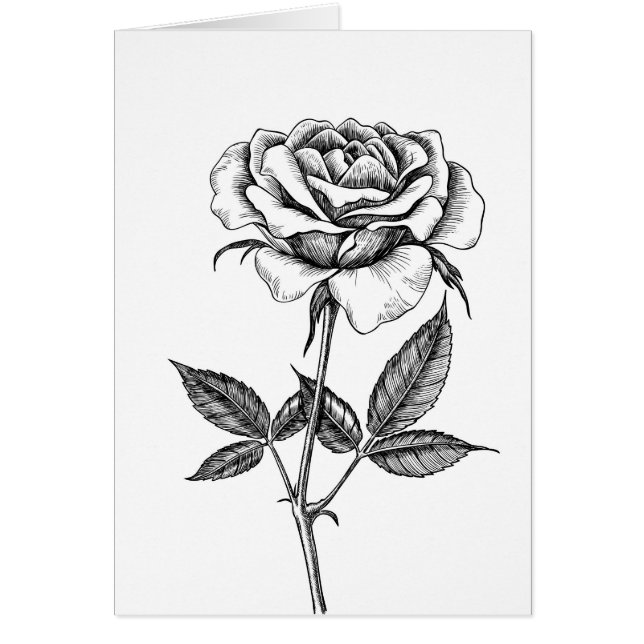 Cartão Rosa (Frente)