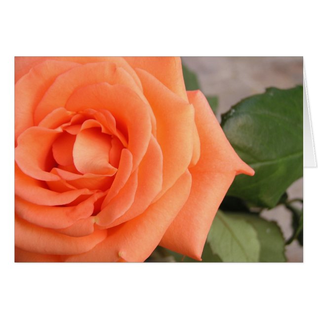 Cartão Rosa (Frente Horizontal)