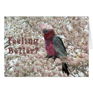 Cartão Rosa agradado