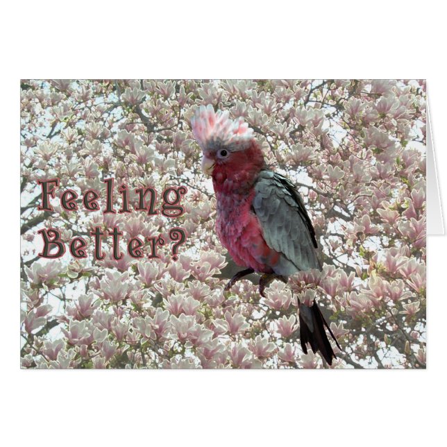 Cartão Rosa agradado (Frente Horizontal)