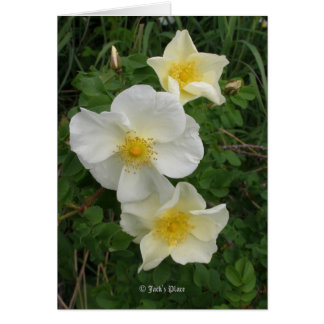 Cartão Rosa Amarela