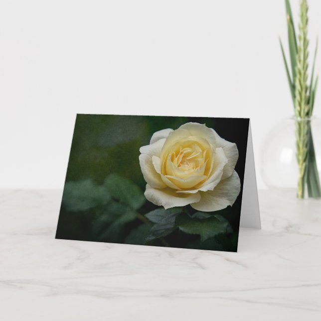 Cartão rosa amarelo (Frente)