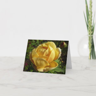 Cartão Rosa amarelo
