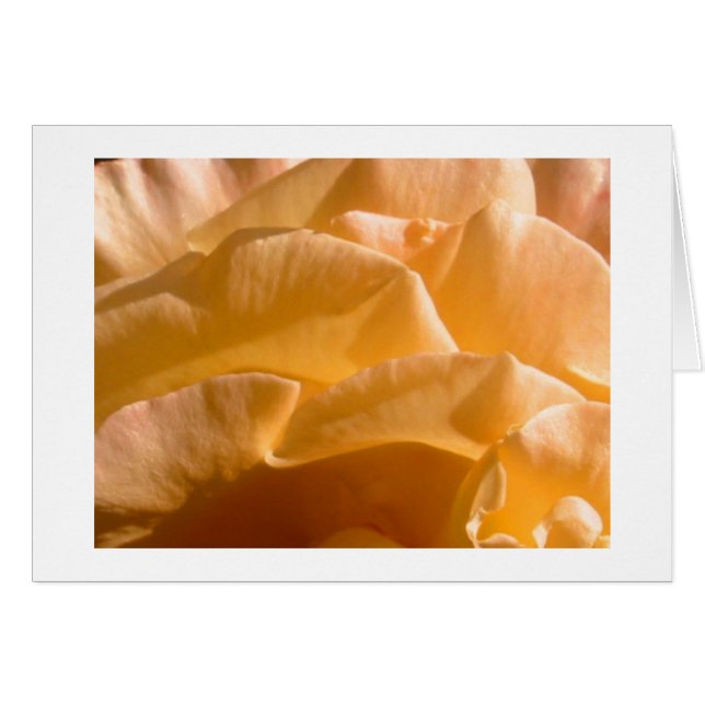 Cartão Rosa Amarelo (Frente Horizontal)