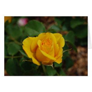 Cartão Rosa amarelo