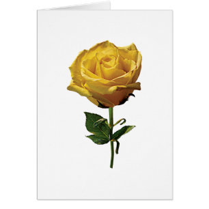 Cartão Rosa amarelo