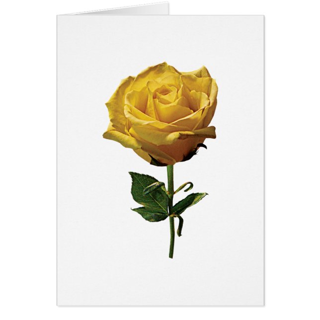 Cartão Rosa amarelo (Frente)