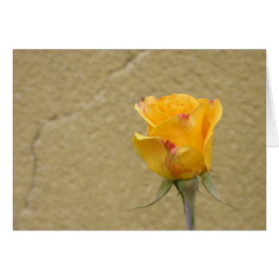 Cartão Rosa Amarelo Bud
