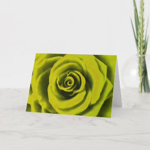 Cartão Rosa Amarelo Grande