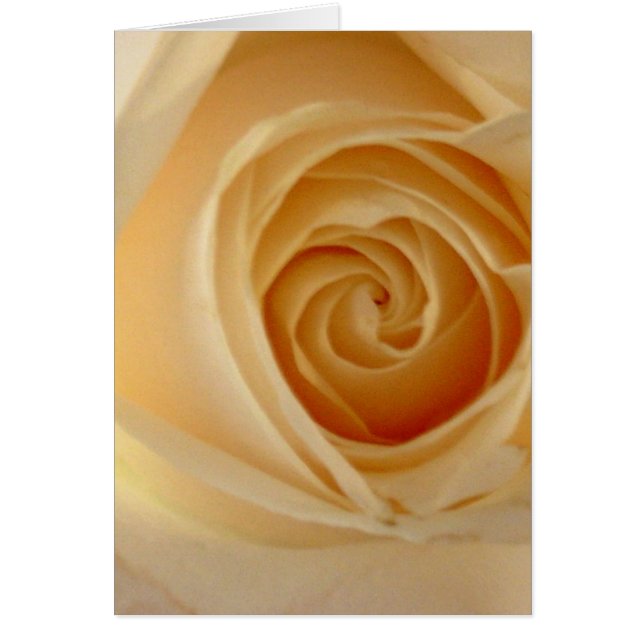 Cartão Rosa Amarelo Suave (Frente)