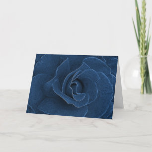 Cartão Rosa azul velvet