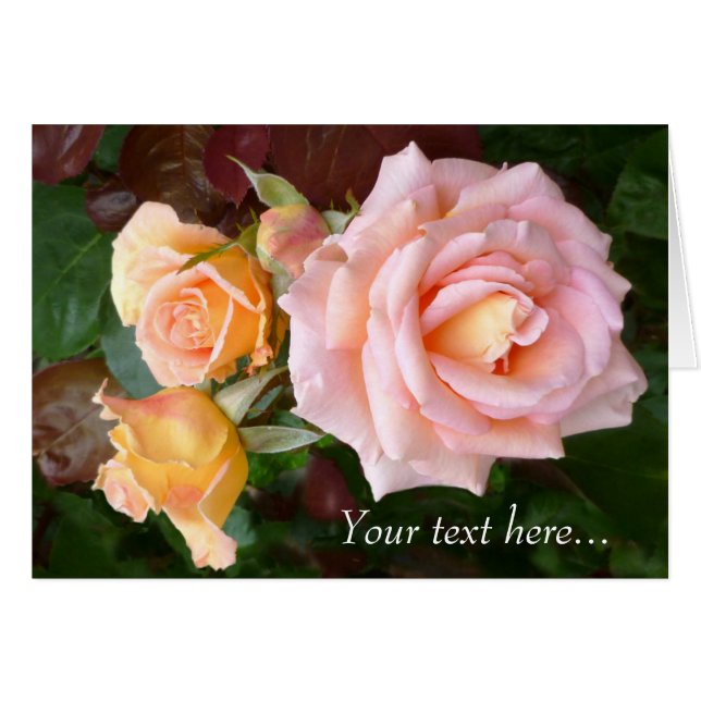 Cartão Rosa Beauty (Frente Horizontal)