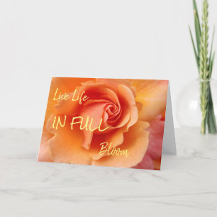 Cartão Rosa Blossom / Apricot Peach / Pensando Em Você