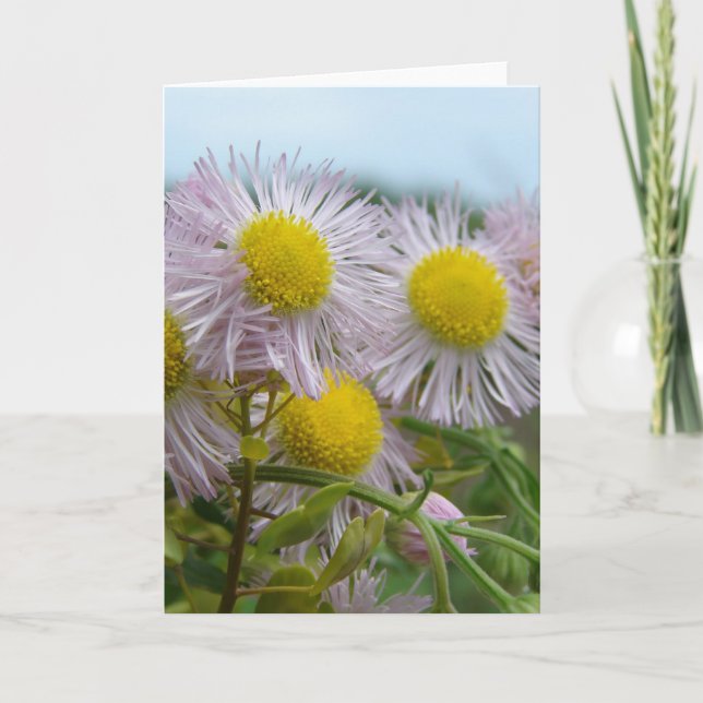 Cartão Rosa bonito (Frente)