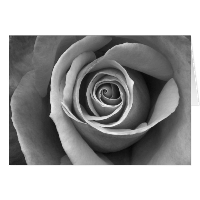 Cartão Rosa branca e negra (Frente Horizontal)
