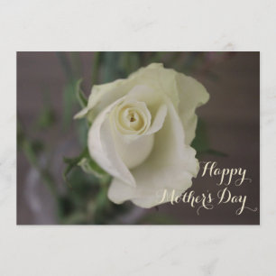 Cartão Rosa branca Elegante, Dia de as mães feliz