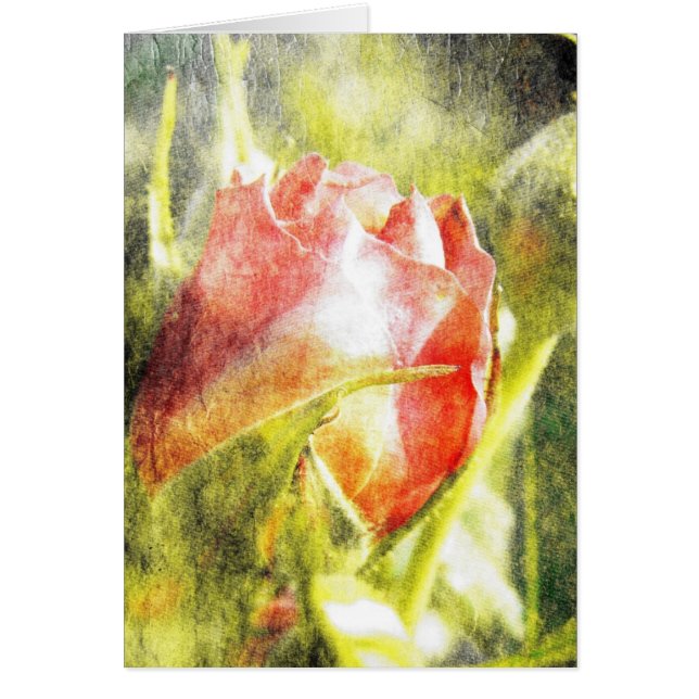 Cartão Rosa Bud (Frente)