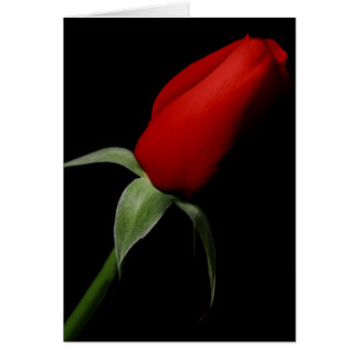 Cartão Rosa Bud Love Elegant Rico Photo Vazio Dentro