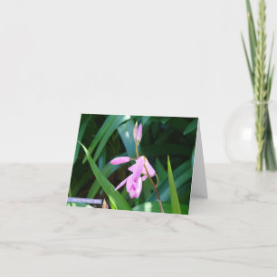 Cartão Rosa contra o verde