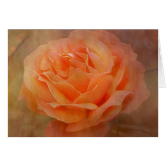 Cartão Rosa de apelo com textura