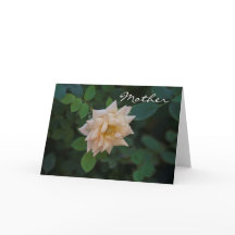 rosa de baunilha dia de as mães