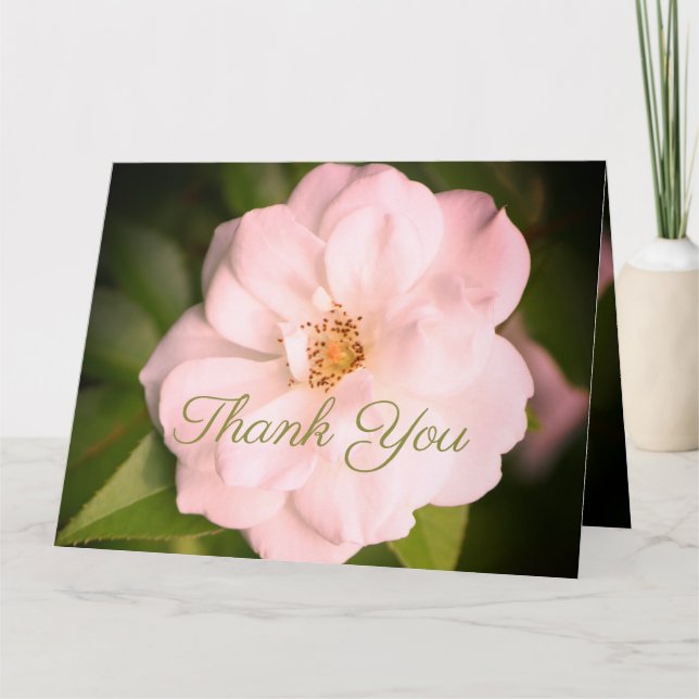 Cartão Rosa de Jardim Branco (Frente)