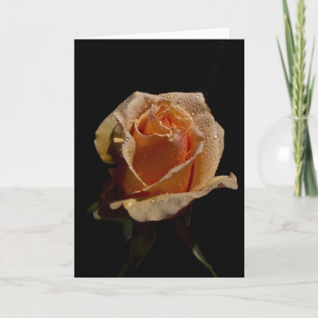 Cartão Rosa de laranja 1 (Frente)