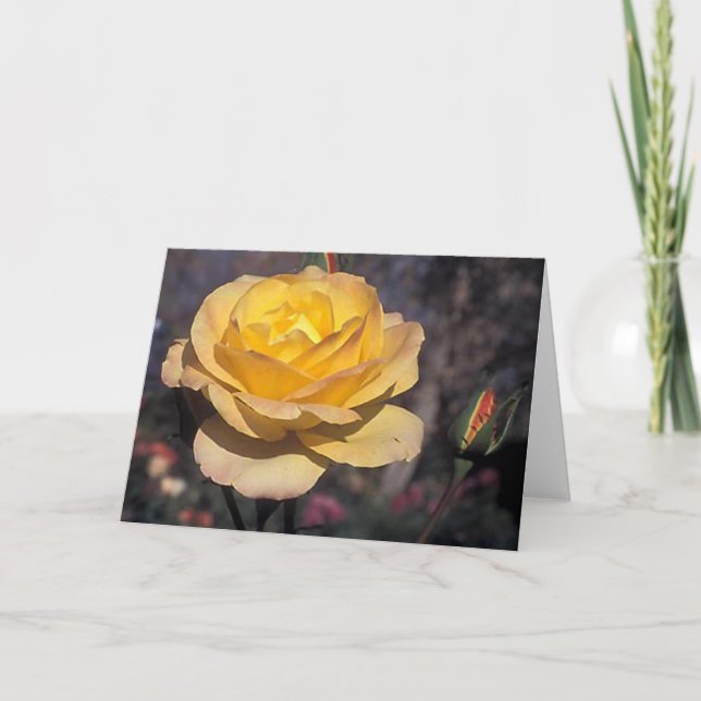 Cartão Rosa de Medalha Dourada (Frente)