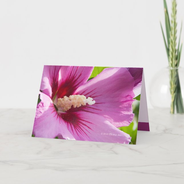 Cartão Rosa de Sharron (Frente)