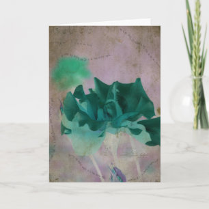 Cartão Rosa de Verão Todas as Ocasiões