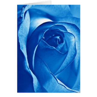 Cartão Rosa do azul