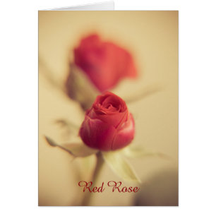 Cartão Rosa do meu coração