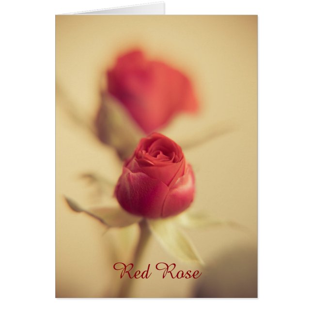 Cartão Rosa do meu coração (Frente)