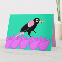 Rosa do pássaro negro