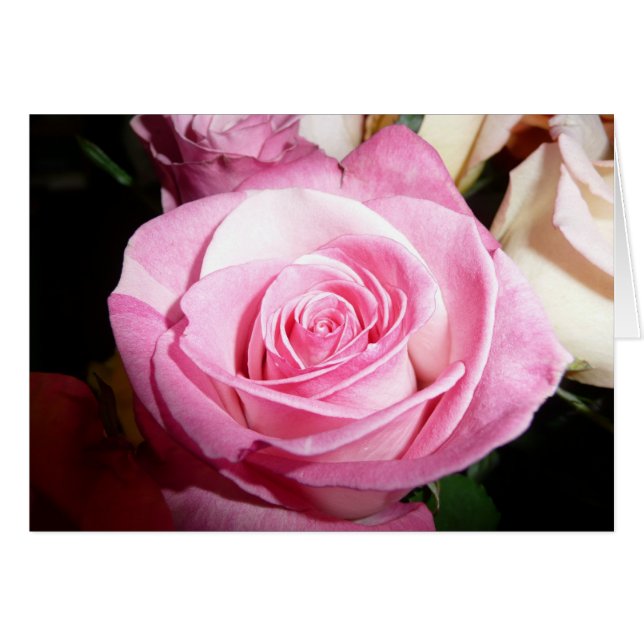 Cartão Rosa do rosa (Frente horizontal)