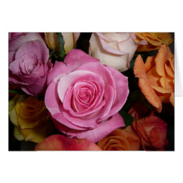 Cartão Rosa do rosa