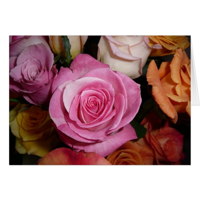 Cartão Rosa do rosa (Frente Horizontal)