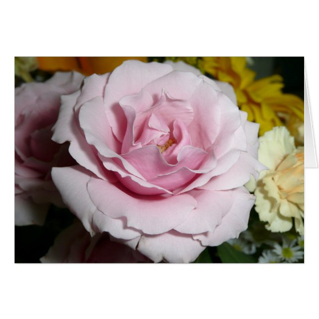 Cartão Rosa do rosa (Frente Horizontal)