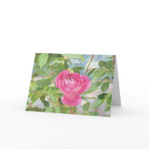 Rosa do rosa do dia das mães