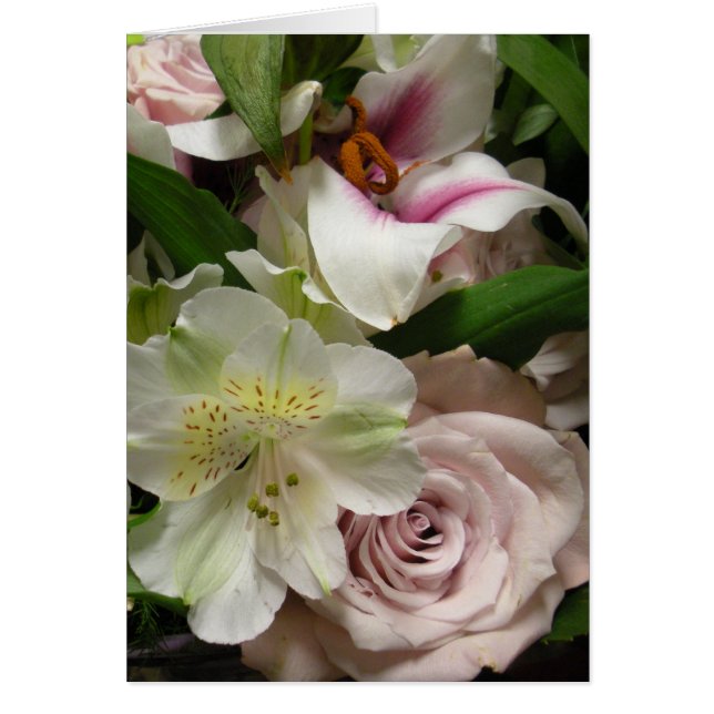 Cartão Rosa e Lily (Frente)