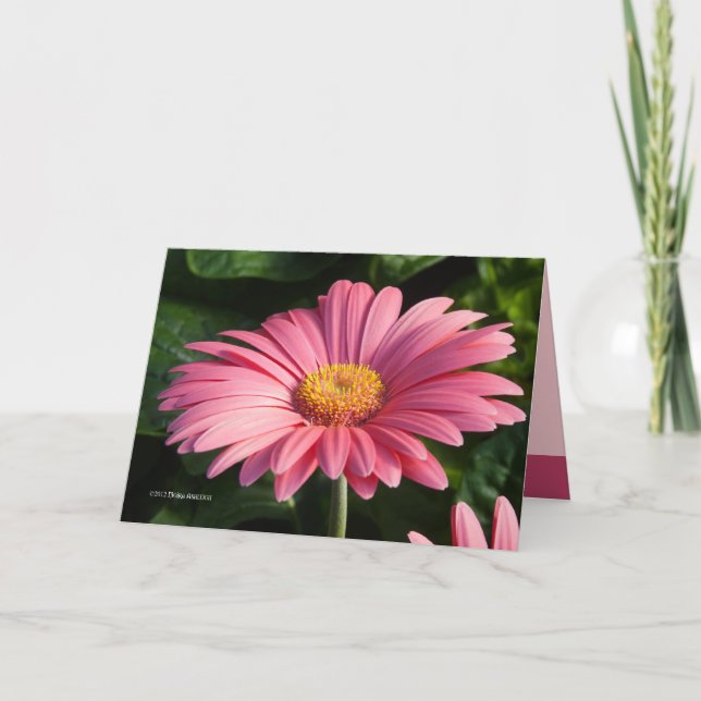 Cartão Rosa é para o Amor (Frente)